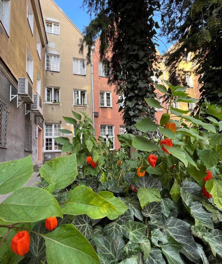 Apartament Hansa Klossa Olsztyn  Kültér fotó